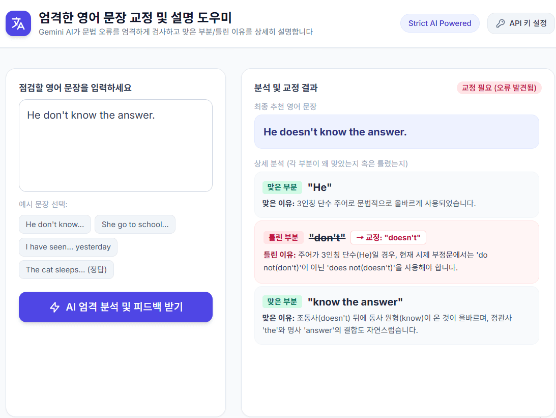 엄격한 영어 문장 교정 및 설명 도우미